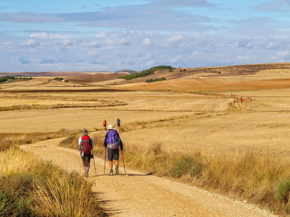 Camino a su paso por los alrededores de Castrojeriz (© Istockphoto)