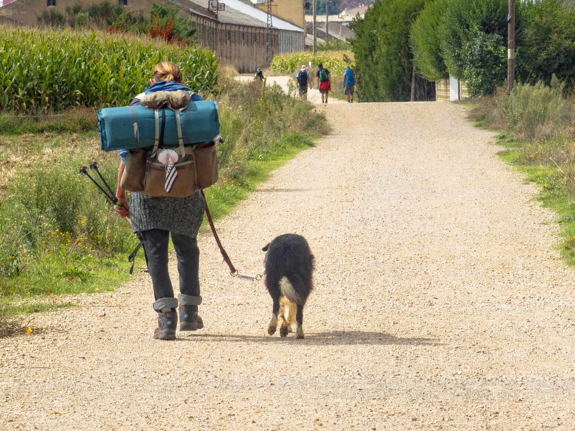 Peregrino junto a su perro (© Istockphoto)