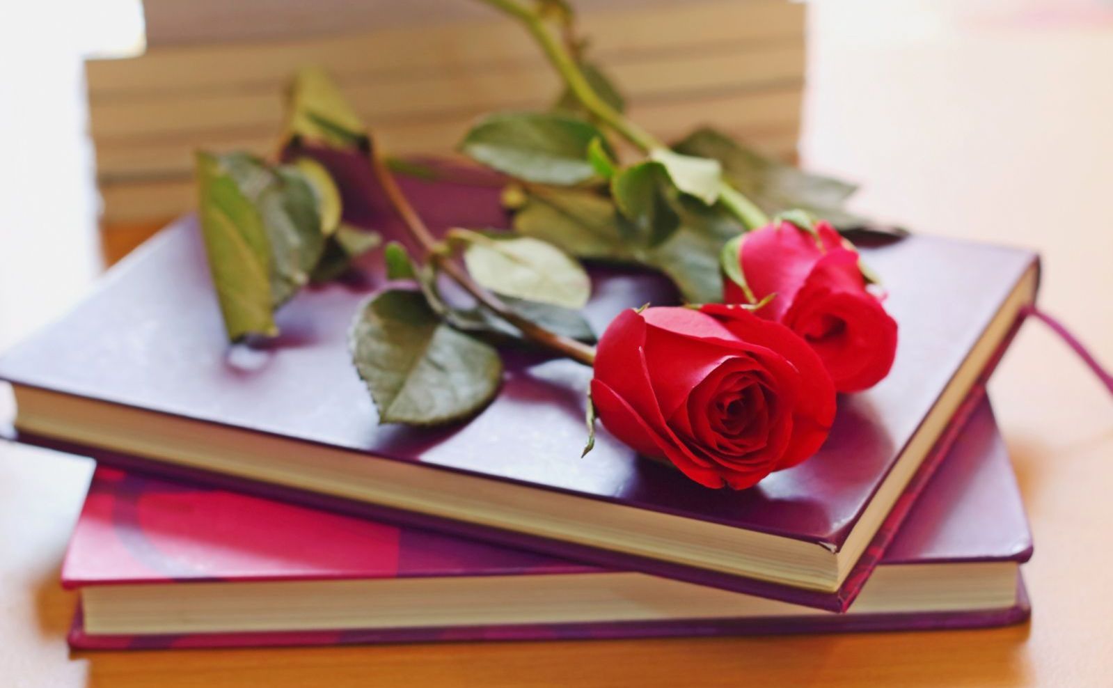 6 LIBROS PARA VIAJAR EN SANT JORDI 2025