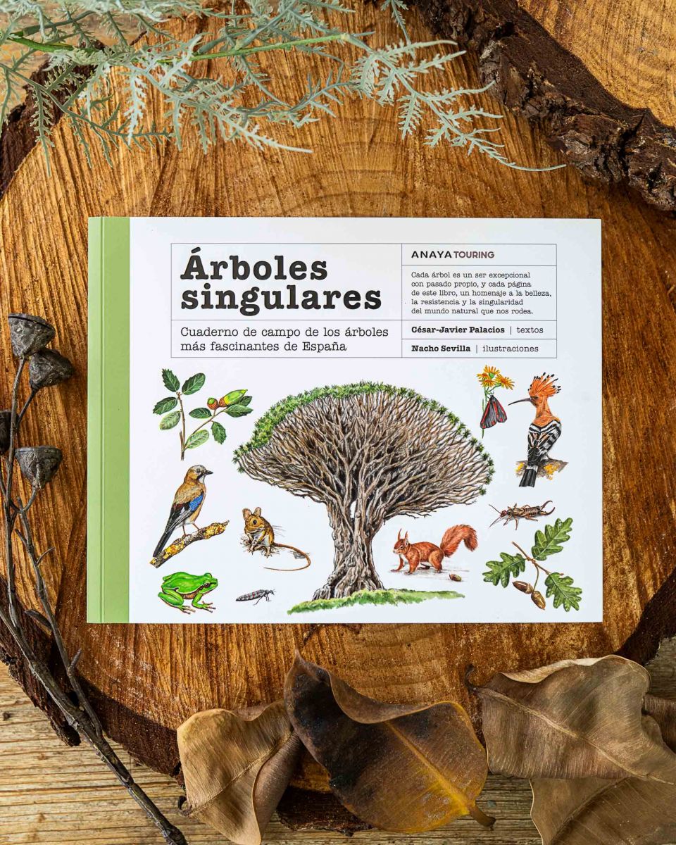 Árboles singulares de César-Javier Palacios y Nacho Sevilla, editorial Anaya Touring