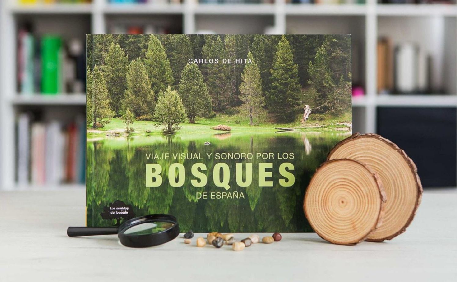 5 bosques para recorrer España